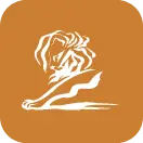 bronze lion icon